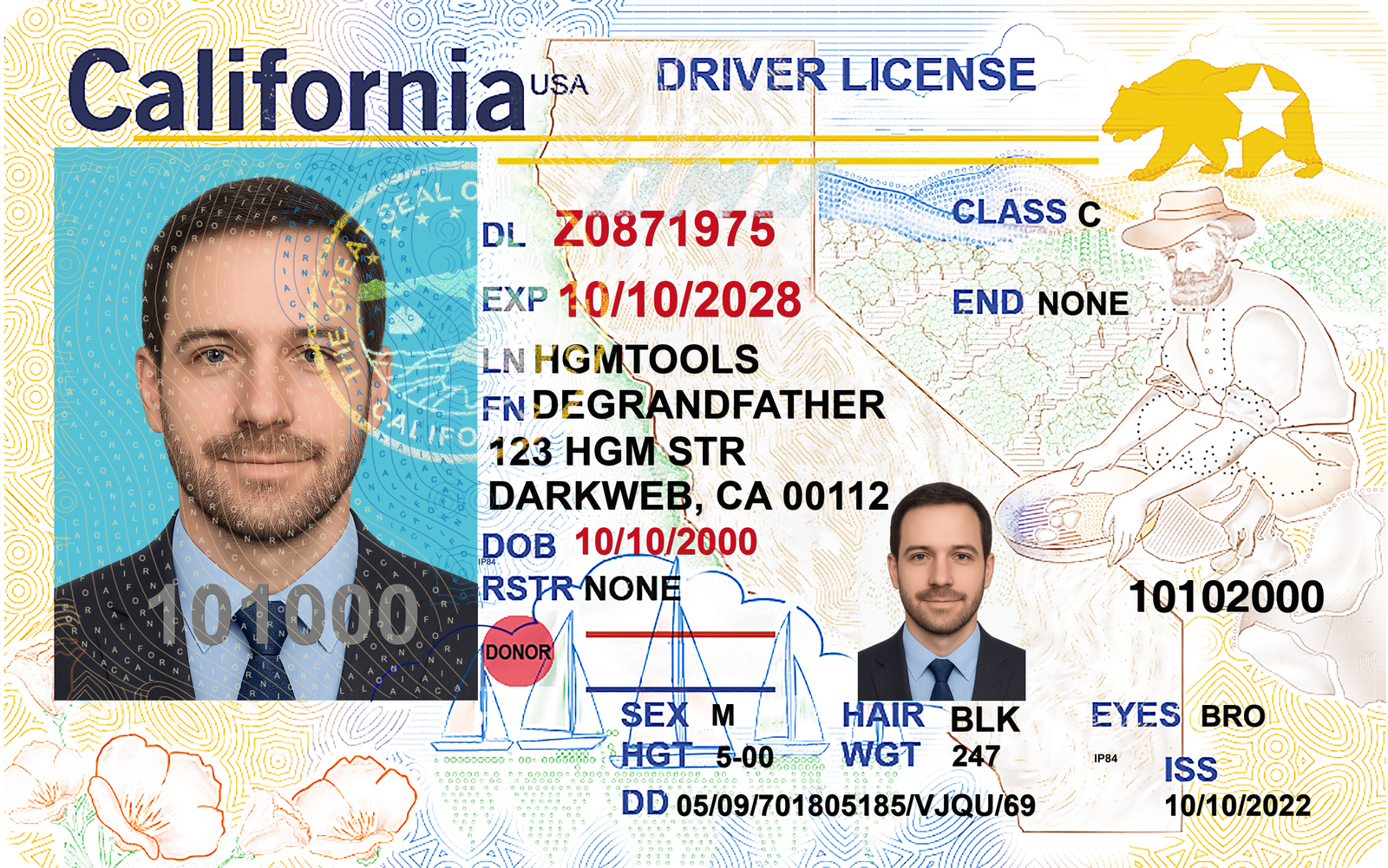 Driving License